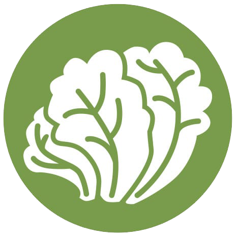 lettuce icon